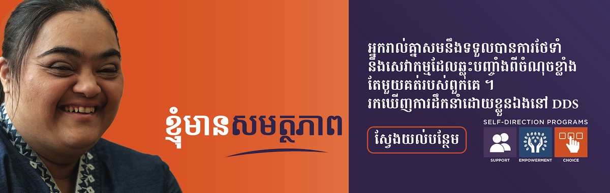 DDS – Detail Top Banner